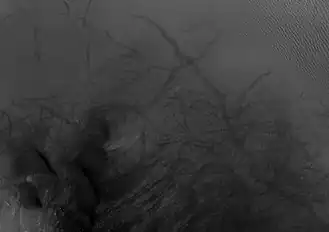 Área central del cráter marciano Milankovic (Imagen HiRISE). (Clicar para ver más detalles: dunas oscuras, marcas de torbellino claras, y bloques brillantes pequeños).