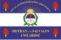 Bandera usada por las unidades militares de la Confederación Argentina. Usualmente en el centro se encontraba el nombre del regimiento.
