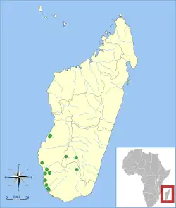 Lugares de recolección de “'Miniopterus mahafaliensis”'