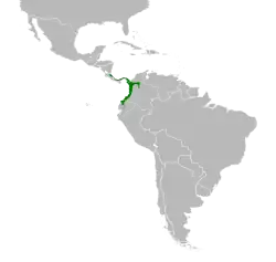 Distribución geográfica de la tangara carinegruzca.