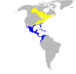 Nidificación Invernada