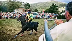 Carrera de caballos de Molledo