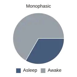Ocho horas de sueño