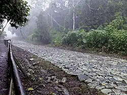 Calzada de piedra en el Monumento nacional Guayabo.