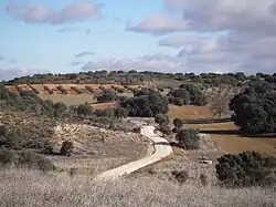 mosaico de colores campos de cultivo