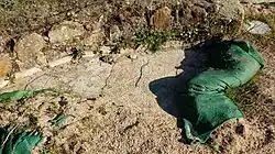 Mosaico romano abandonado y desprovisto de su protección