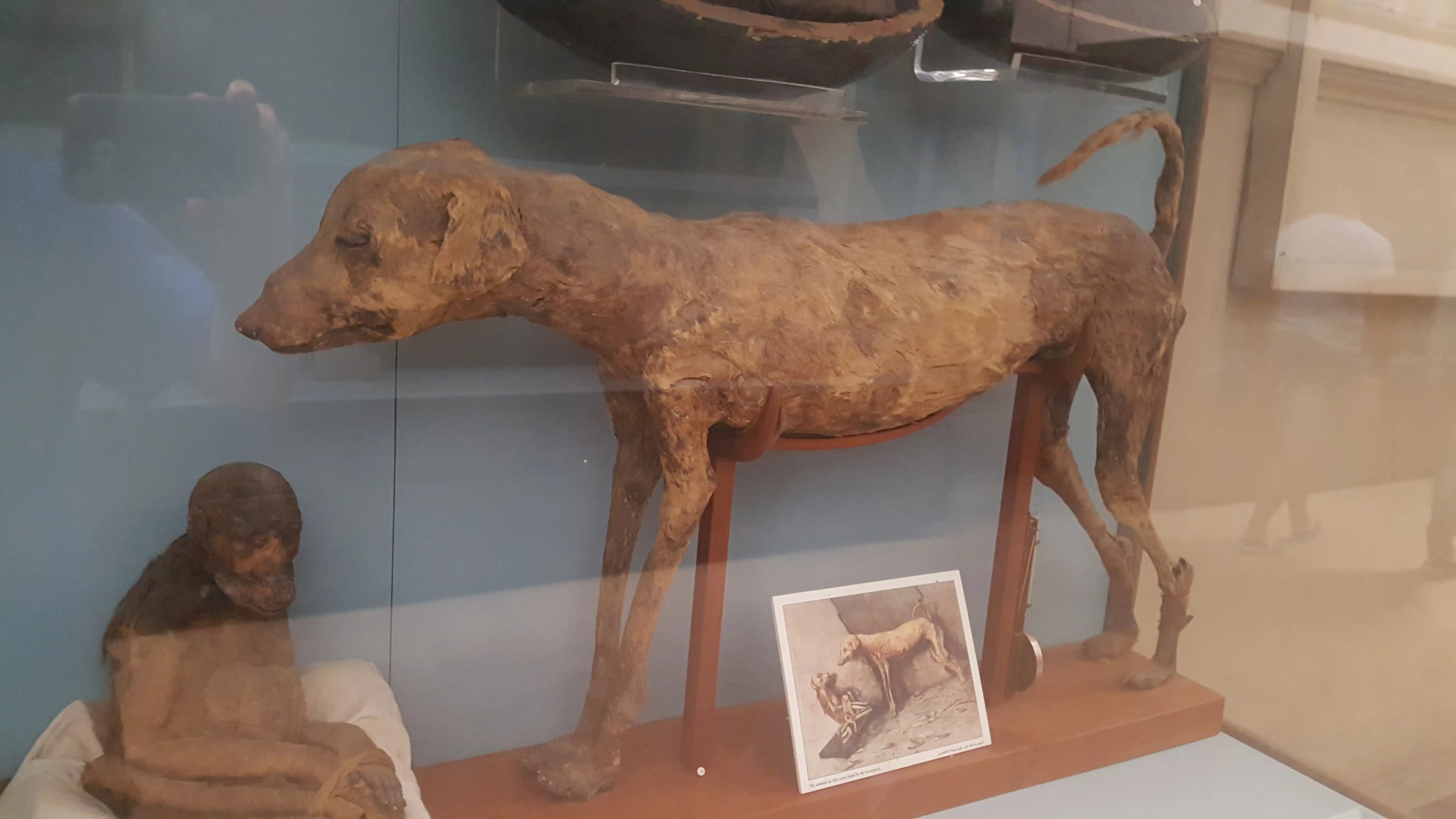 By_ovedc_-_Egyptian_Museum_(Cairo)_-_308