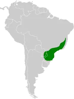 Distribución geográfica de la viudita coluda.