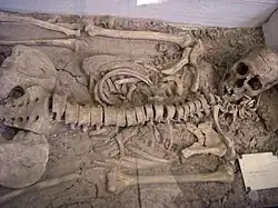 Enterramiento expuesto