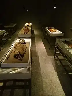 Imagen tomada en Arica ,chile sala de momias chinchorros