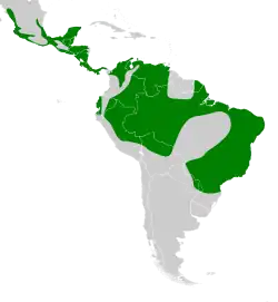 Distribución geográfica del bienteveo sociable.