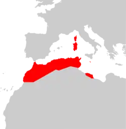 Distribución de Myotis punicus.
