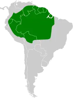 Distribución geográfica del hormiguero gorginegro.