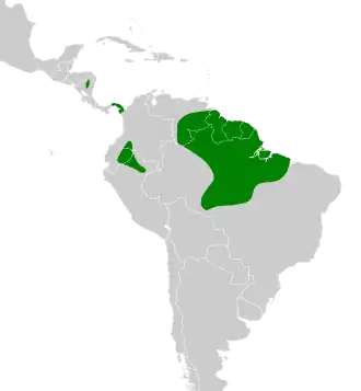 Distribución geográfica del hormiguero alifranjeado.
