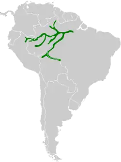 Distribución geográfica del hormiguerito plomizo.