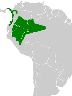 Distribución geográfica del hormiguerito de Griscom.