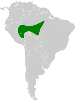 Distribución geográfica del hormiguerito de Ihering.