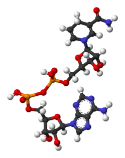 NADH, según el modelo de bolas y varillas.