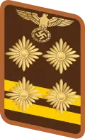 Parche de cuello para un Hauptgemeinschaftsleiter