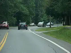 Ground-level view of a road surrounded by many trees.