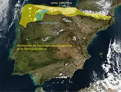Distribución en la península ibérica.
