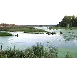 Parque nacional Losiny Ostrov