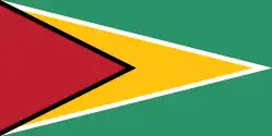 Pabellón de Guyana, el mismo diseño que su bandera, pero en proporciones 1:2.