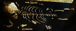 Esqueleto de un niño neandertal de entre 2 y 4 años hallado en Roc-de-Marsal. Se encontró como parte de un enterramiento.