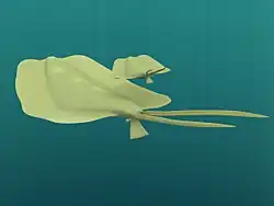 Recreación de Nectocaris pteryx.