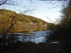 Nidelva en Reiersøl