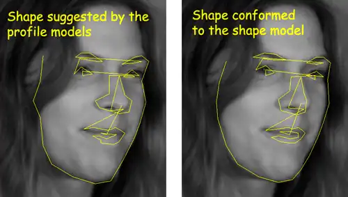 Operation of the shape model