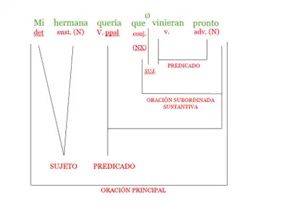 Se trata de la oración "Mi hermana quería que vinieran pronto", un ejemplo de oración subordinada sustantiva, con el nexo que encabezando la subordinada.