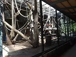 Antigua vista de la zona exterior de los orangutanes