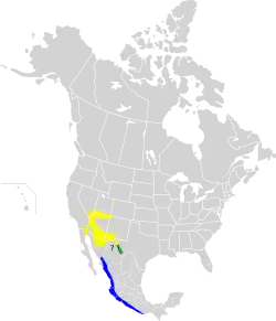 Nidificación Invernada Todo el año