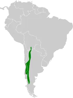 Distribución geográfica del colibrí cordillerano