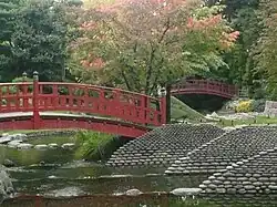 Doble puente japonés.