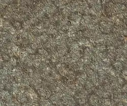 misma zona fotografiada (en falso color) desde la órbita de Marte