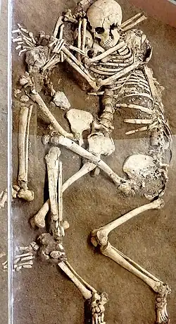 Esqueletos del año 365