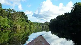 Amazonia de Perú