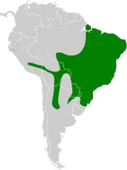 Distribución geográfica del anambé grande.