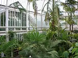 Interior del invernadero "Palmhuset".