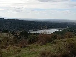 Pantano de Puente Alta