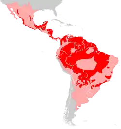 Distribución de Panthera onca. En rosa las zonas donde se ha extinguido, en rojo las zonas donde perdura.[2]​