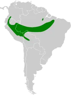 Distribución geográfica del picogrueso humeral.