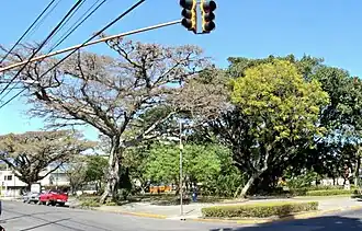 Parque Beneméritos (M.ª Auxi.).