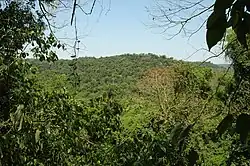 Vegetación del parque