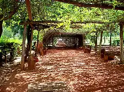 Parral en su jardín delantero