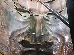 Detalle del rostro desde el interior