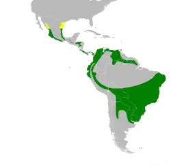 &nbsp;&nbsp;&nbsp;&nbsp;&nbsp;Nidificación &nbsp;&nbsp;&nbsp;&nbsp;&nbsp;Todo el año