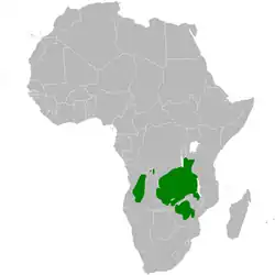 &nbsp;&nbsp;&nbsp;&nbsp;&nbsp;rango de población